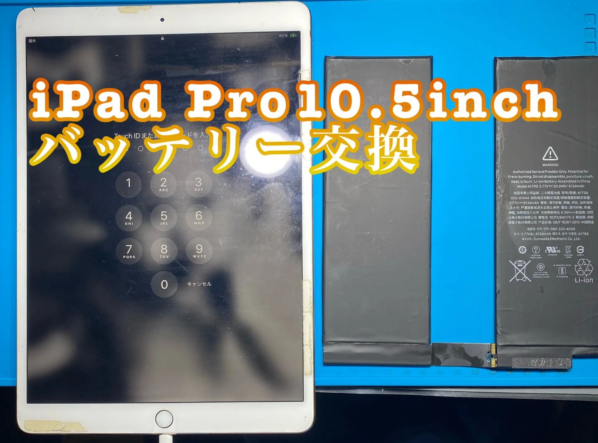 iPhone・iPad修理フォンドクターグループ　宮崎店、名古屋駅前店、愛知知立店、魚津店、敦賀店、大阪門真店、岐阜土岐店