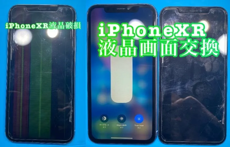 フォンドクターグループ　宮崎店、名古屋駅前店、愛知知立店、魚津店、敦賀店、大阪門真店、岐阜土岐店