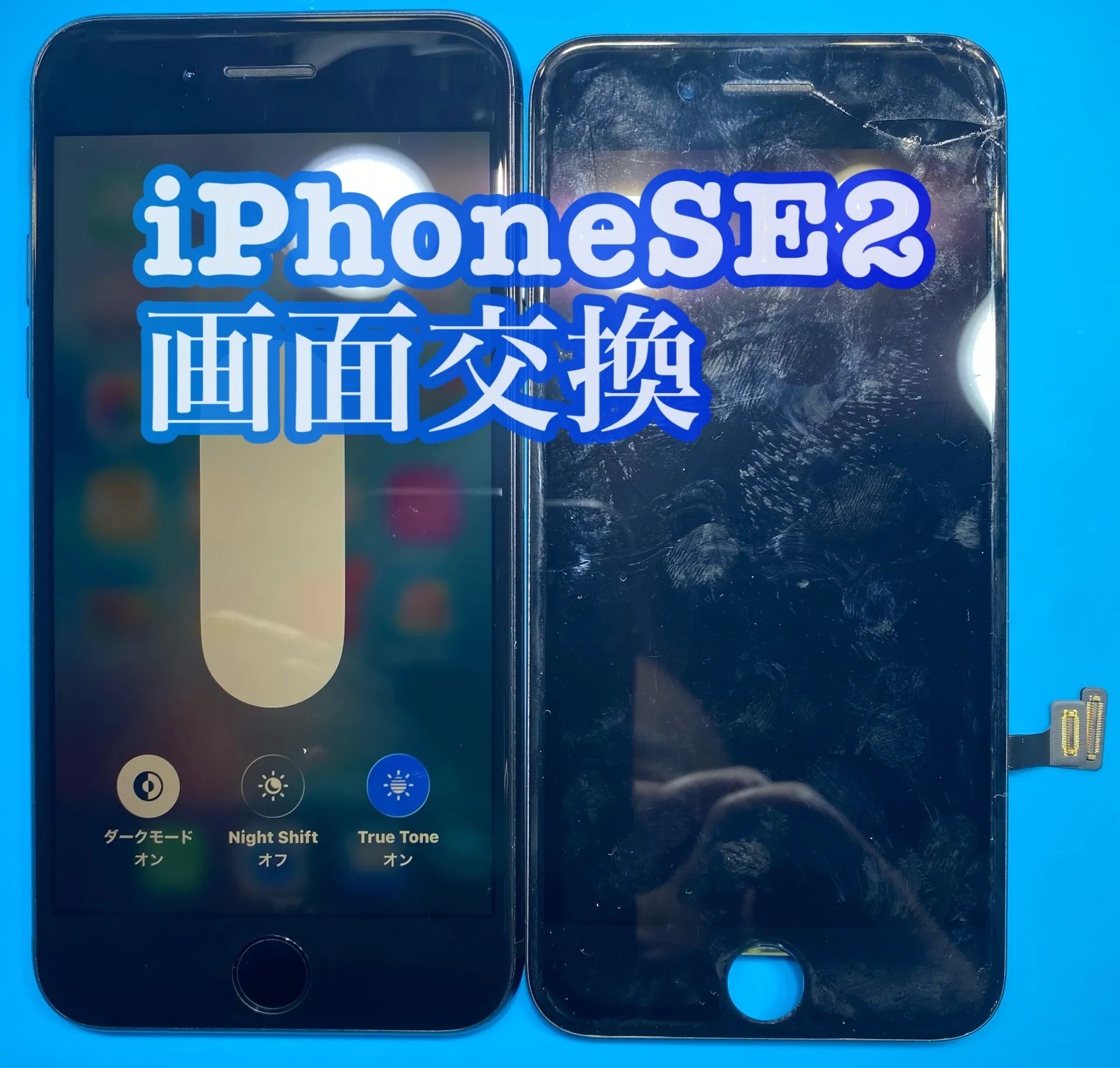 iPhone・iPad修理フォンドクターグループ　宮崎店、名古屋駅前店、愛知知立店、魚津店、敦賀店、大阪門真店、岐阜土岐店