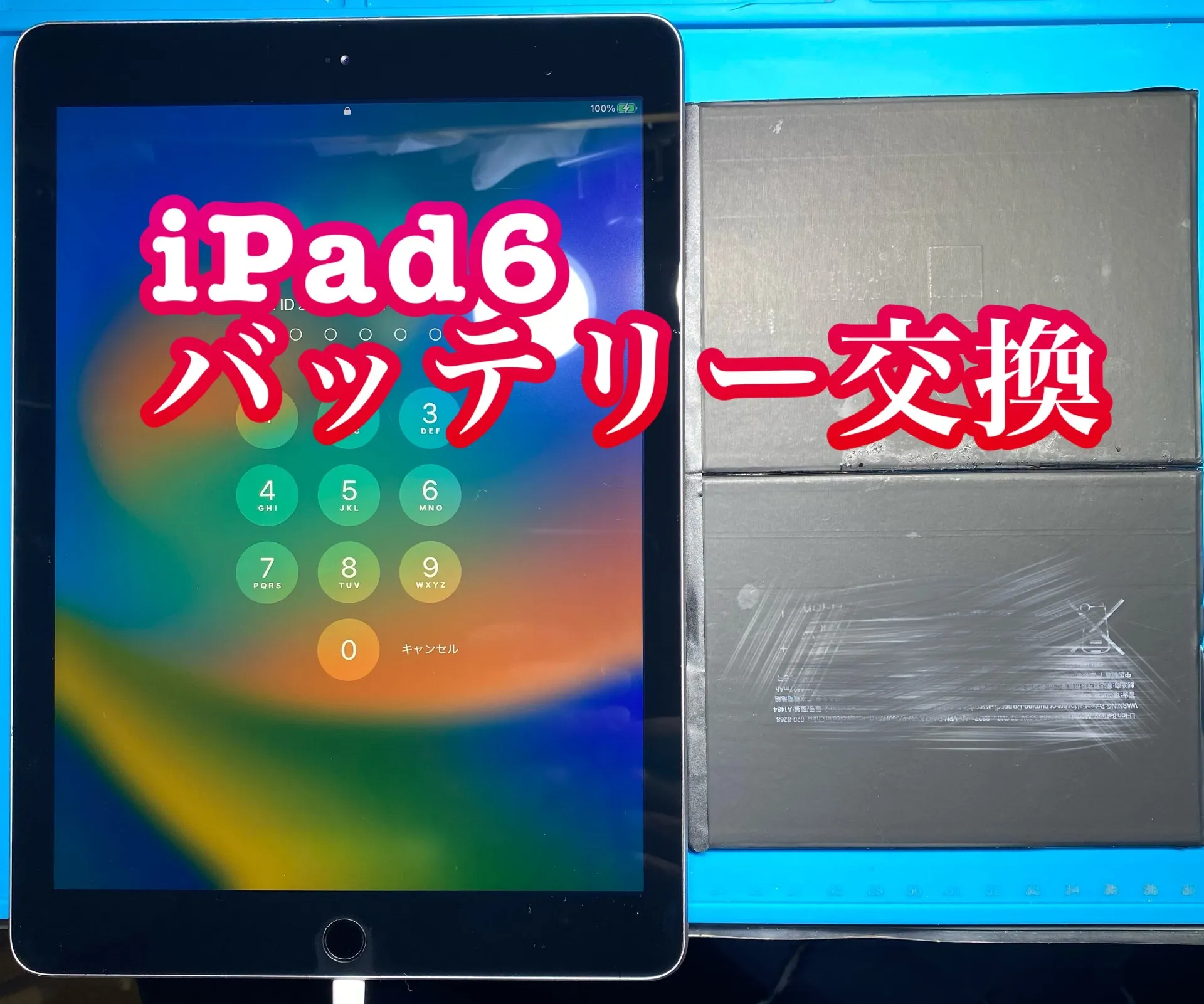 フォンドクターグループ　宮崎店、名古屋駅前店、愛知知立店、魚津店、敦賀店、大阪門真店、岐阜土岐店