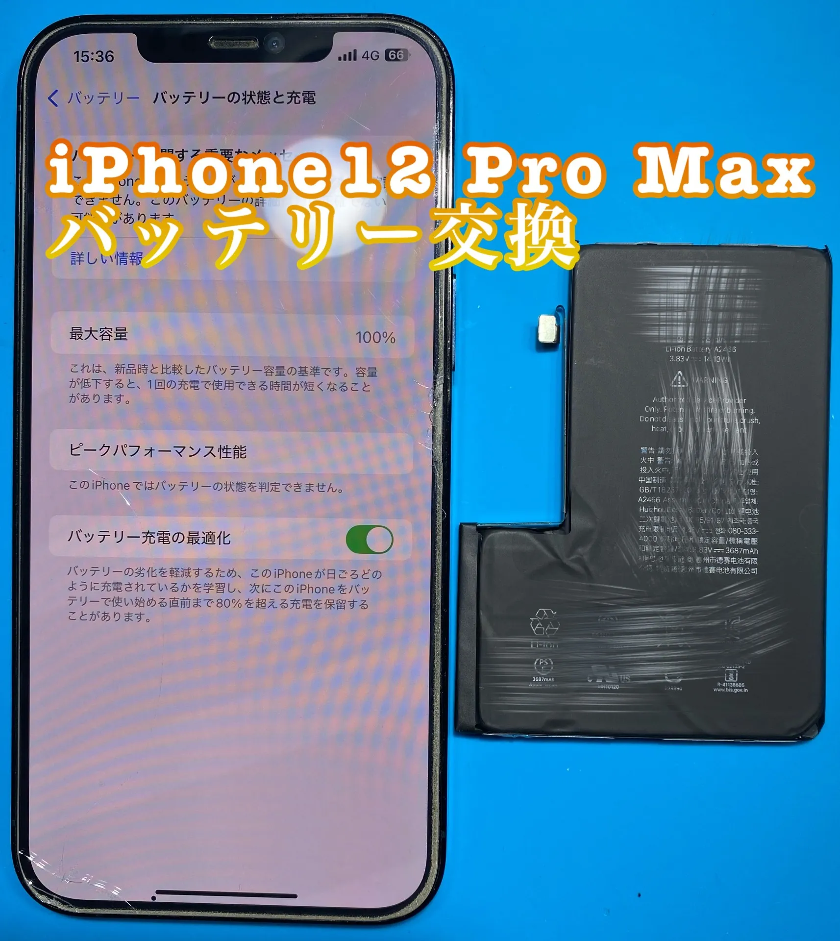 フォンドクターグループ　宮崎店、名古屋駅前店、愛知知立店、魚津店、敦賀店、大阪門真店、岐阜土岐店