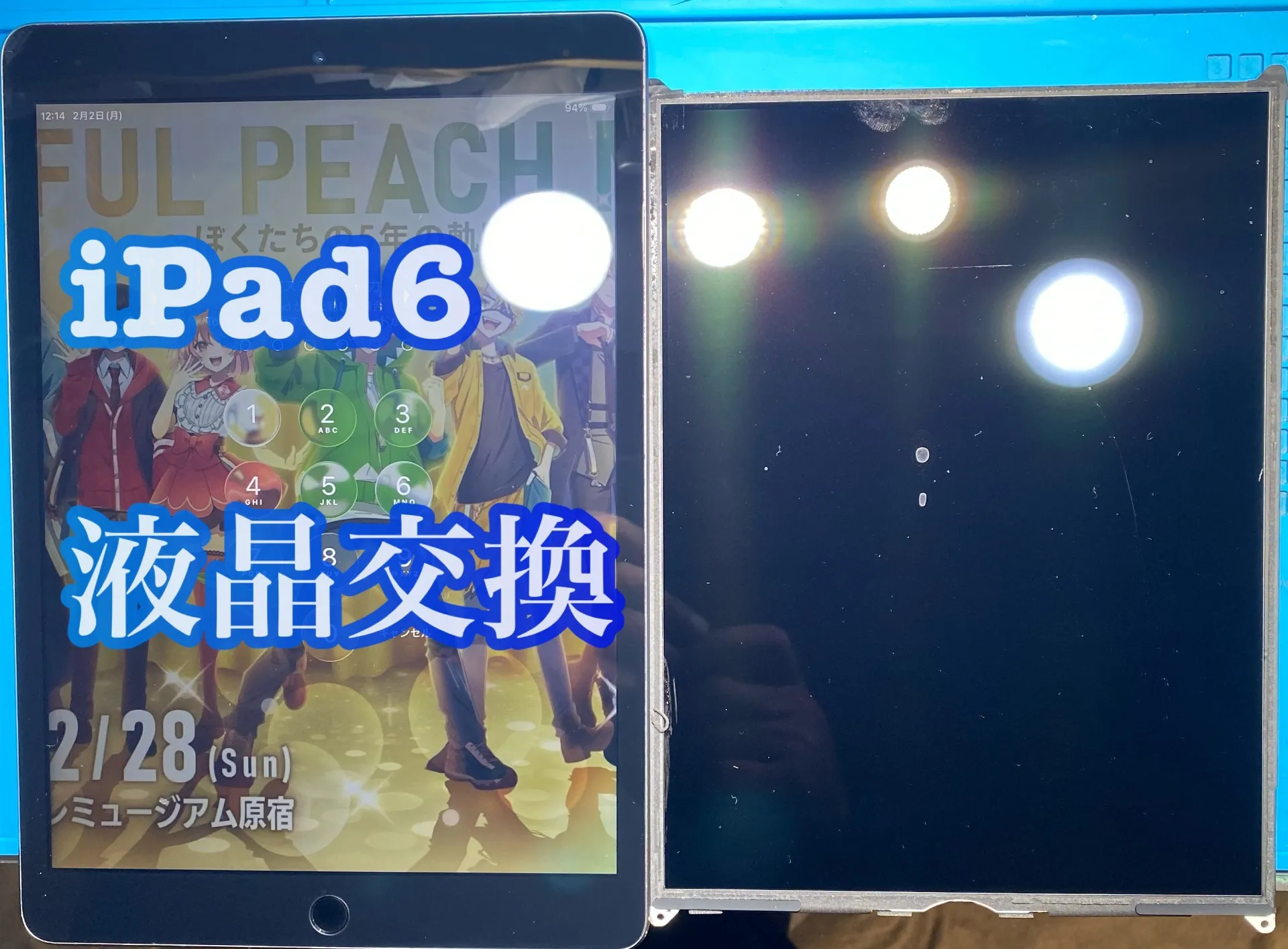 フォンドクターグループ　宮崎店、名古屋駅前店、愛知知立店、魚津店、敦賀店、大阪門真店、岐阜土岐店