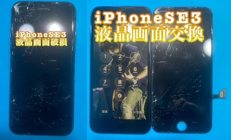 iPhone・iPad修理フォンドクターグループ　宮崎店、名古屋駅前店、愛知知立店、魚津店、敦賀店、大阪門真店、岐阜土岐店