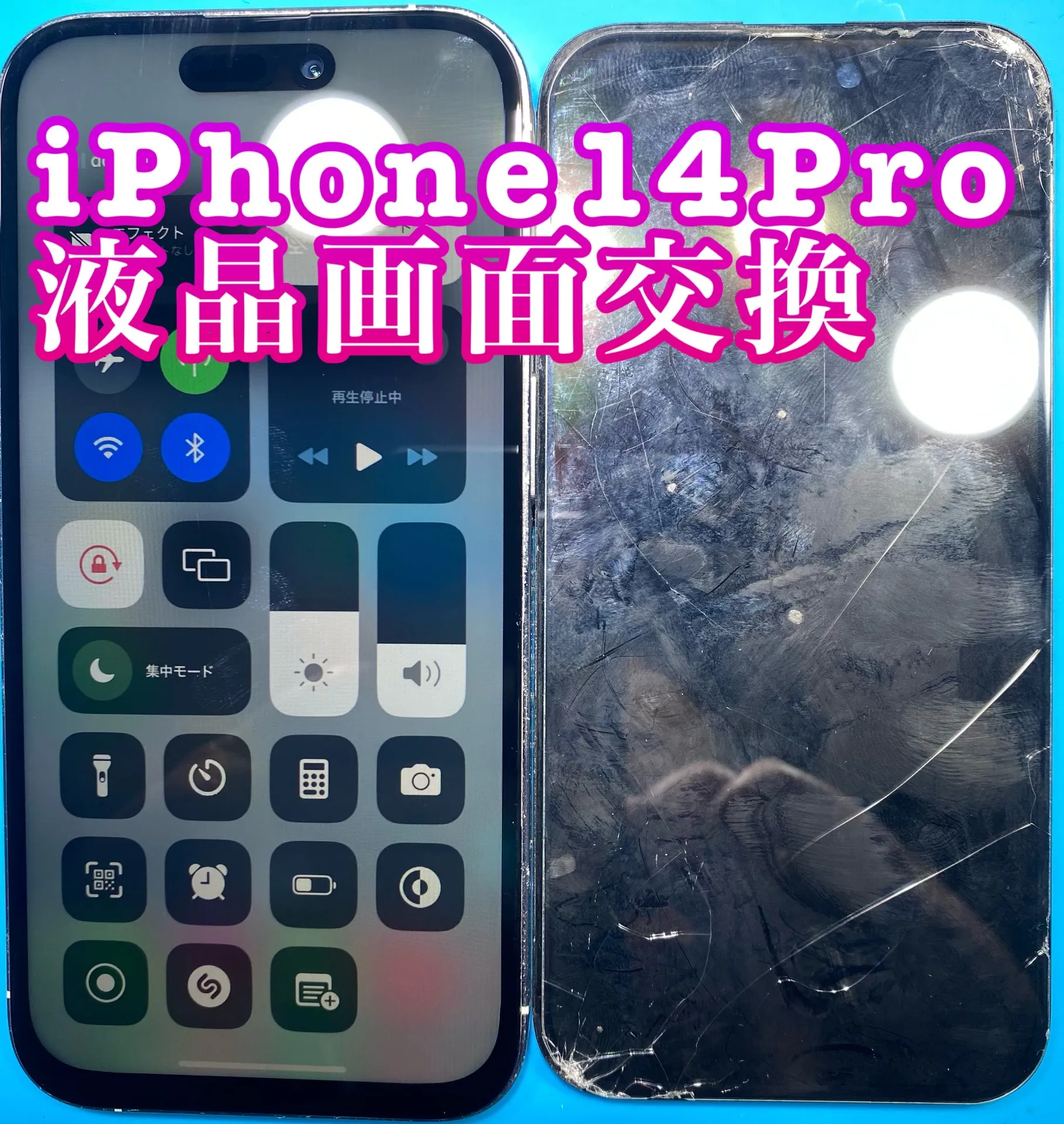 フォンドクターグループ　宮崎店、名古屋駅前店、愛知知立店、魚津店、敦賀店、大阪門真店、岐阜土岐店