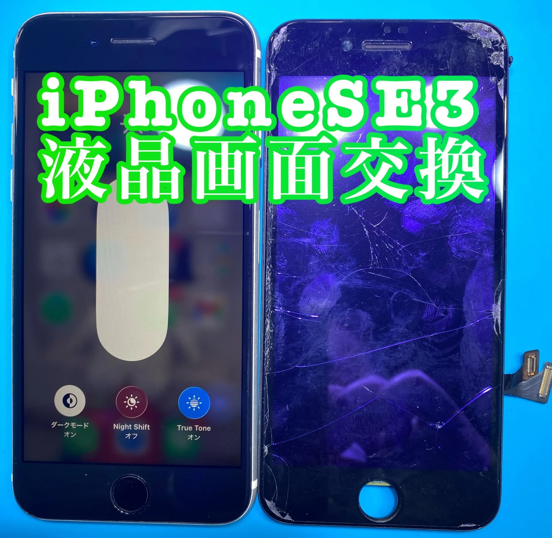 フォンドクターグループ　宮崎店、名古屋駅前店、愛知知立店、魚津店、敦賀店、大阪門真店、岐阜土岐店