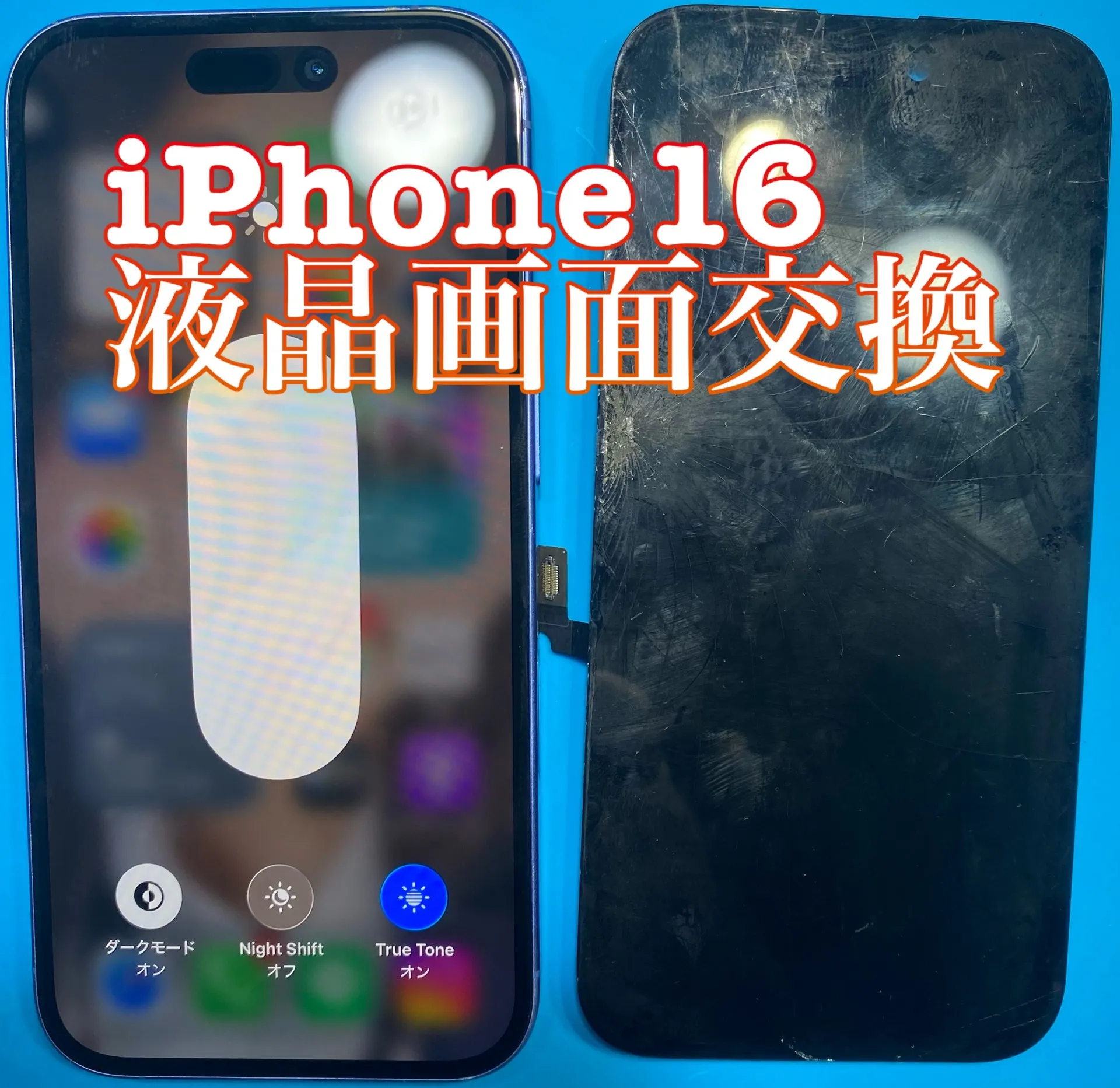 フォンドクターグループ　宮崎店、名古屋駅前店、愛知知立店、魚津店、敦賀店、岐阜土岐店