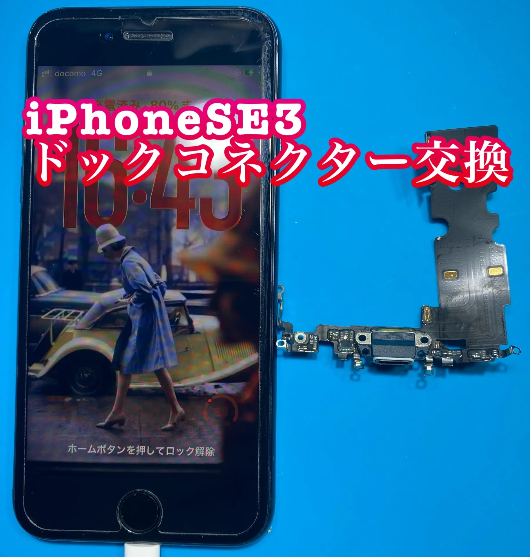 フォンドクターグループ 宮崎店、名古屋駅前店、愛知知立店、魚津店、敦賀店、大阪門真店、岐阜土岐店