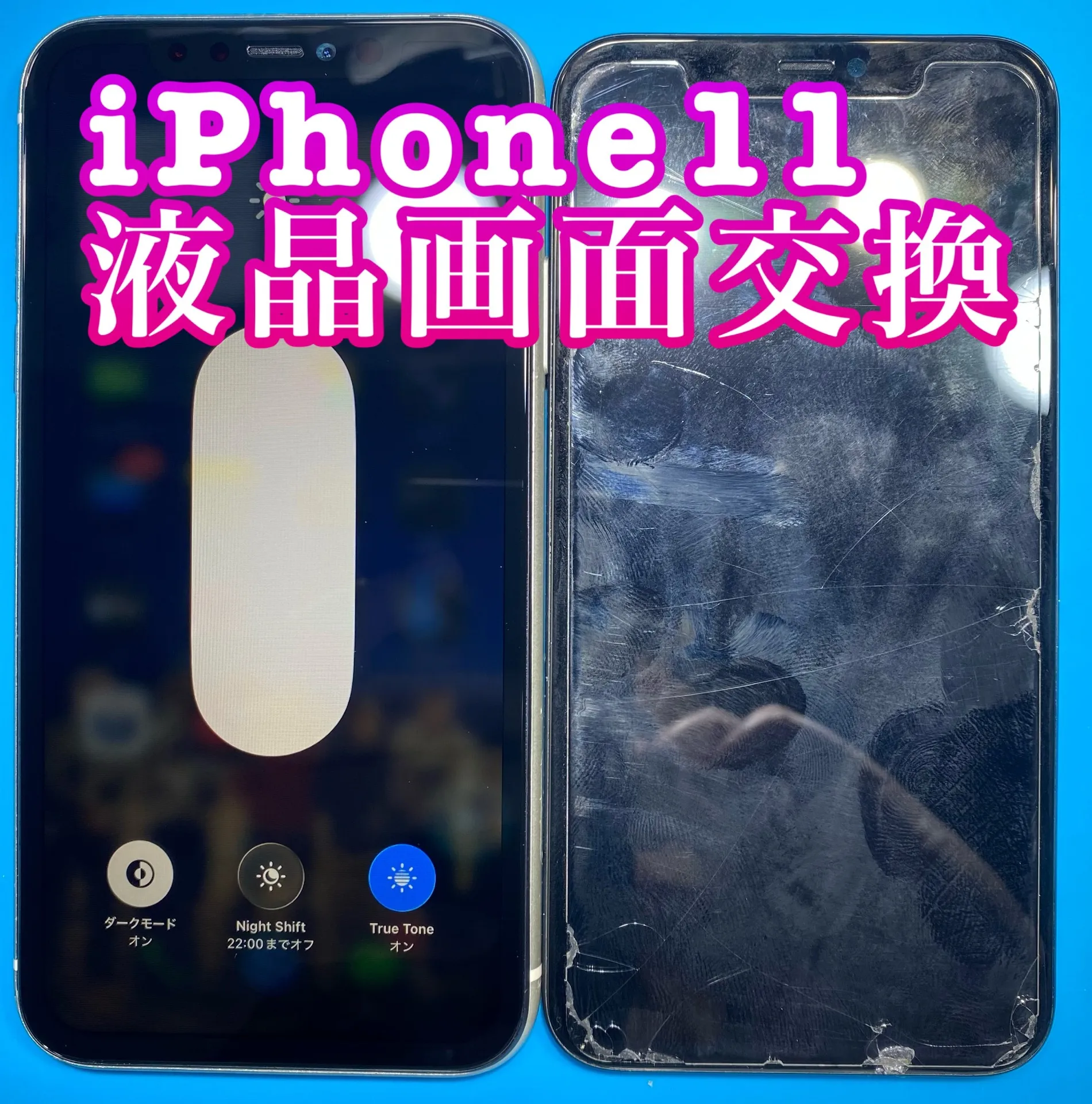 フォンドクターグループ　宮崎店、名古屋駅前店、愛知知立店、魚津店、敦賀店、都城店、岐阜土岐店