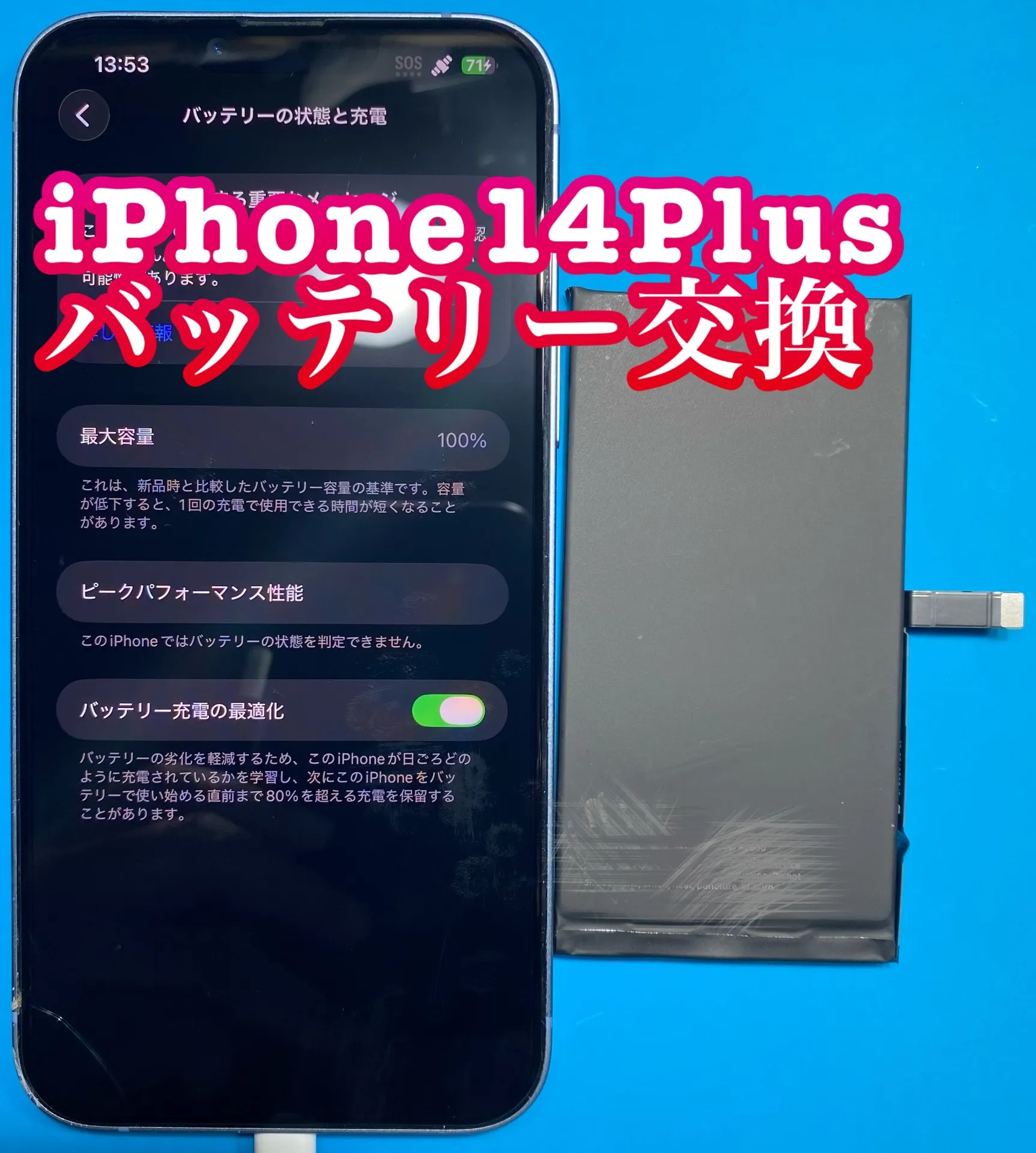 フォンドクターグループ　宮崎店、名古屋駅前店、愛知知立店、魚津店、敦賀店、都城店、岐阜土岐店