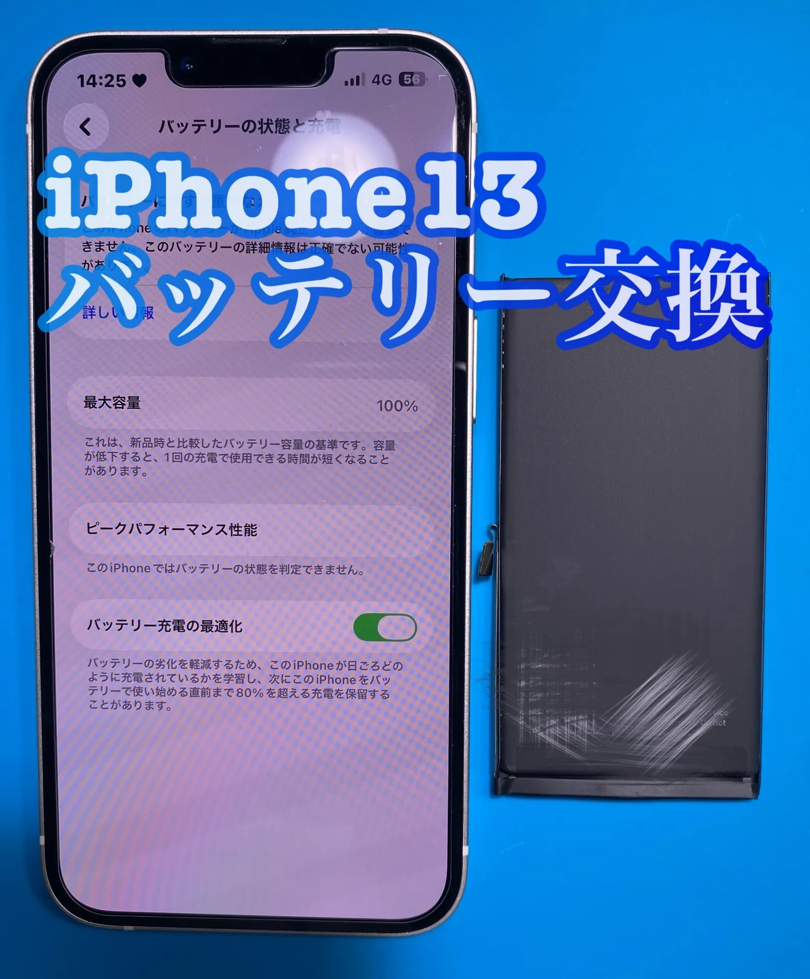 フォンドクターグループ　宮崎店、名古屋駅前店、愛知知立店、魚津店、敦賀店、都城店、岐阜土岐店