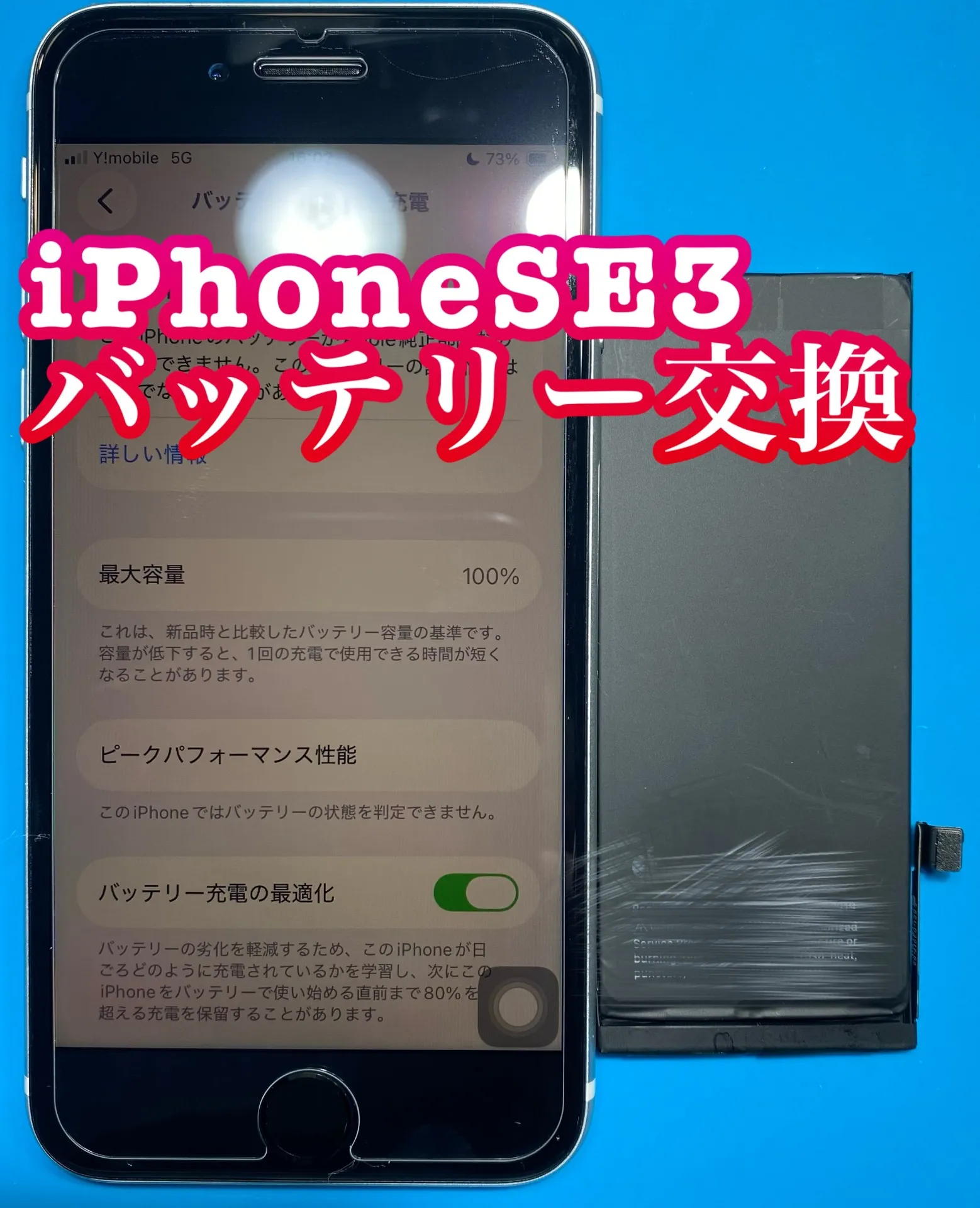フォンドクターグループ　宮崎店、名古屋駅前店、愛知知立店、魚津店、敦賀店、都城店、岐阜土岐店
