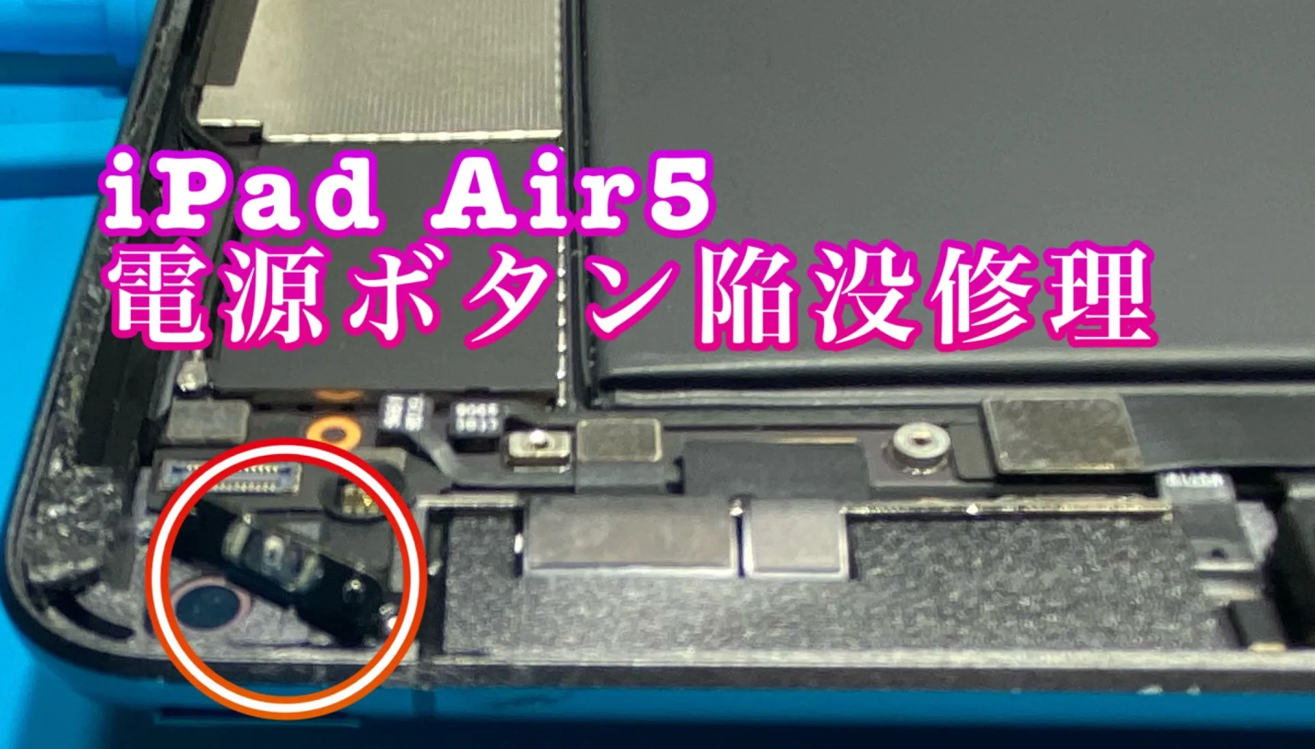 iPhone・iPad修理フォンドクターグループ　宮崎店、名古屋駅前店、愛知知立店、魚津店、敦賀店、都城店、岐阜土岐店