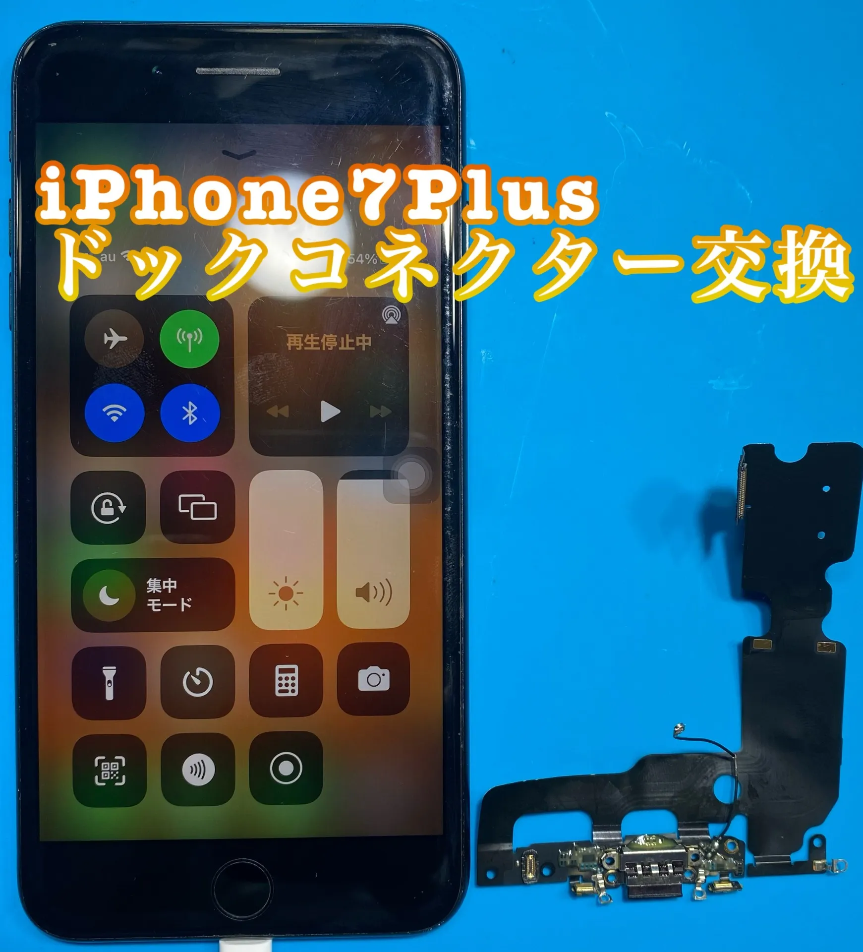 フォンドクターグループ　宮崎店、名古屋駅前店、愛知知立店、魚津店、敦賀店、都城店、岐阜土岐店