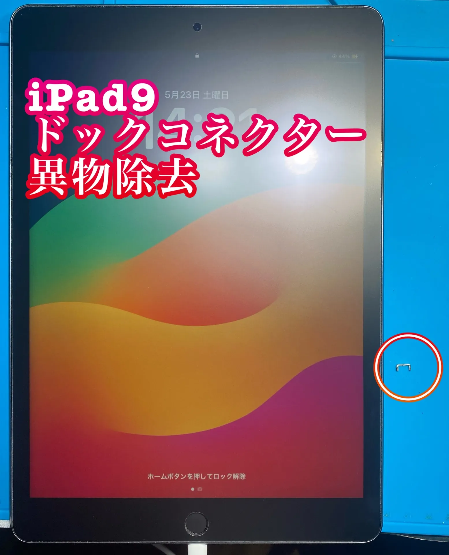 iPhone・iPad修理フォンドクターグループ　宮崎店、名古屋駅前店、愛知知立店、魚津店、敦賀店、都城店、岐阜土岐店