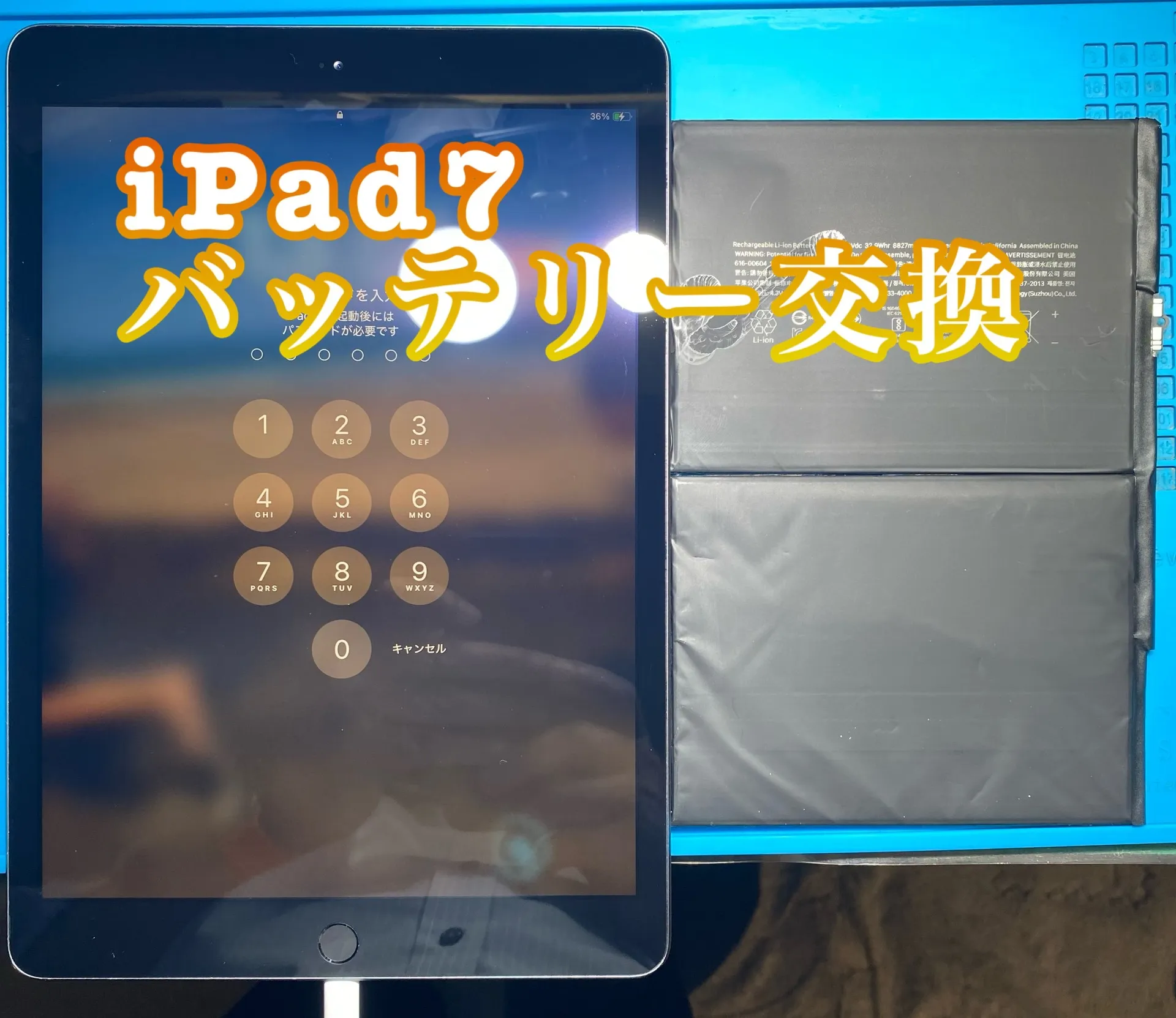 iPhone・iPad修理フォンドクターグループ　宮崎店、名古屋駅前店、愛知知立店、魚津店、敦賀店、都城店、岐阜土岐店