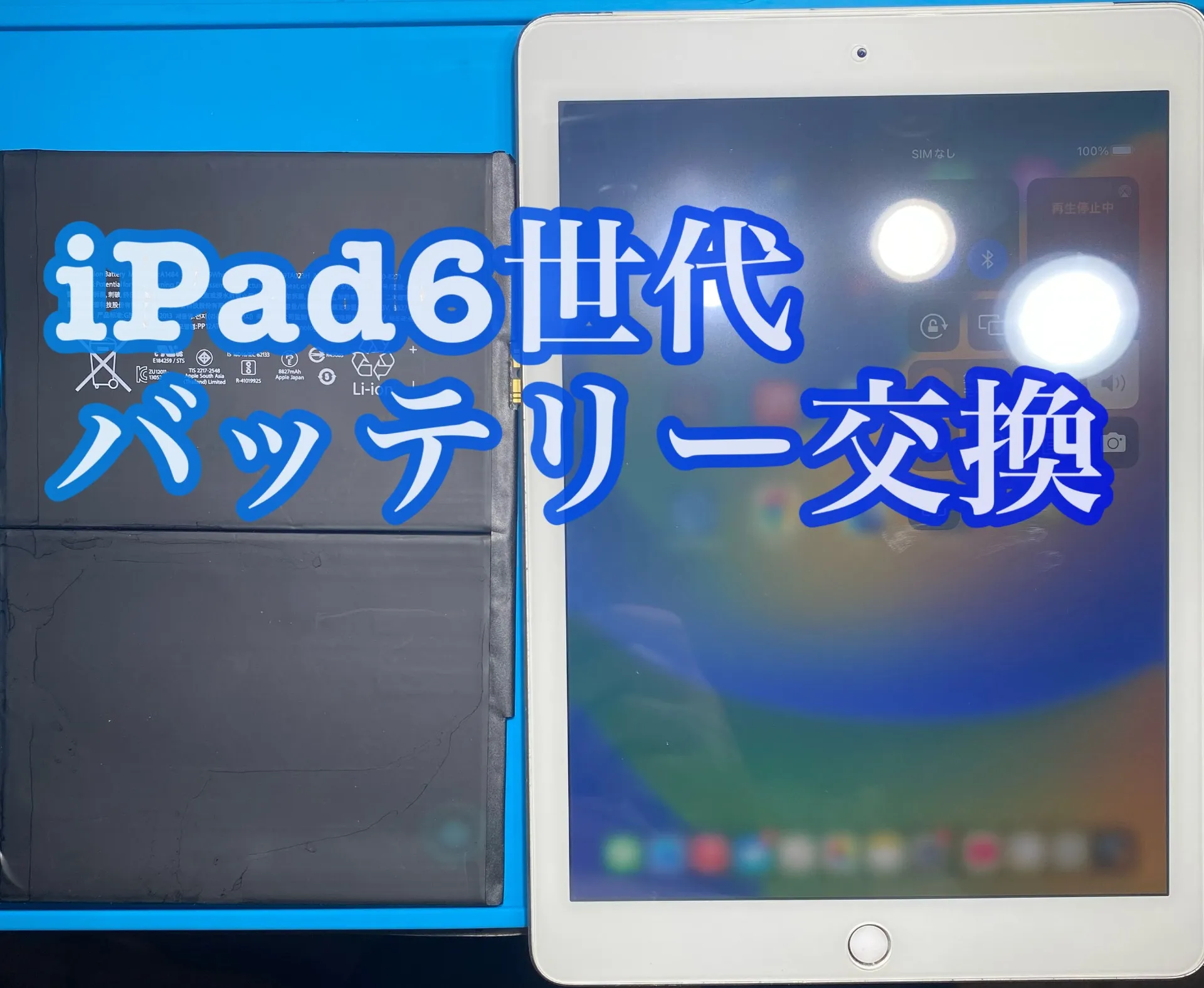 フォンドクターグループ　宮崎店、名古屋駅前店、愛知知立店、魚津店、敦賀店、都城店、岐阜土岐店
