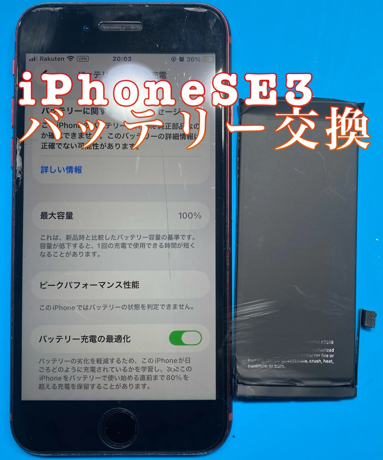 フォンドクターグループ　宮崎店、名古屋駅前店、愛知知立店、魚津店、敦賀店、都城店、岐阜土岐店