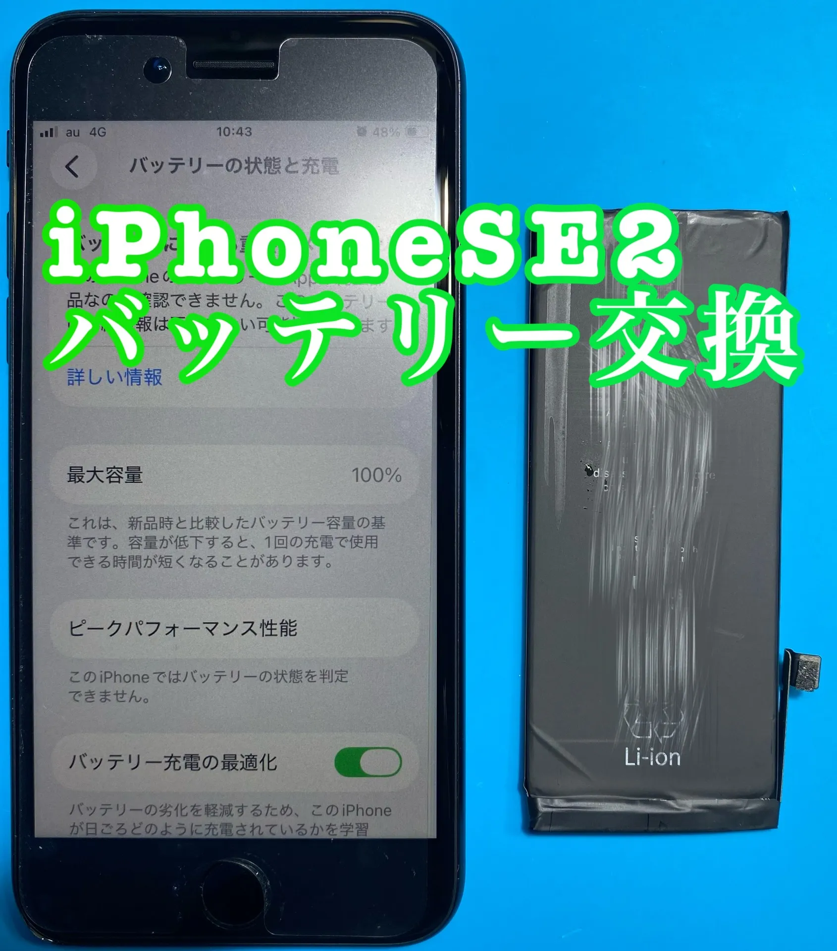 フォンドクターグループ　宮崎店、名古屋駅前店、愛知知立店、魚津店、敦賀店、都城店、岐阜土岐店