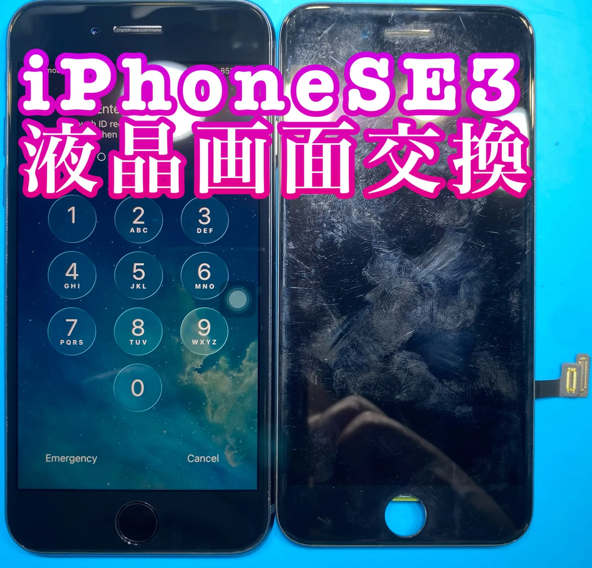 iPhone・iPad修理フォンドクターグループ　宮崎店、名古屋駅前店、愛知知立店、魚津店、敦賀店、都城店、岐阜土岐店