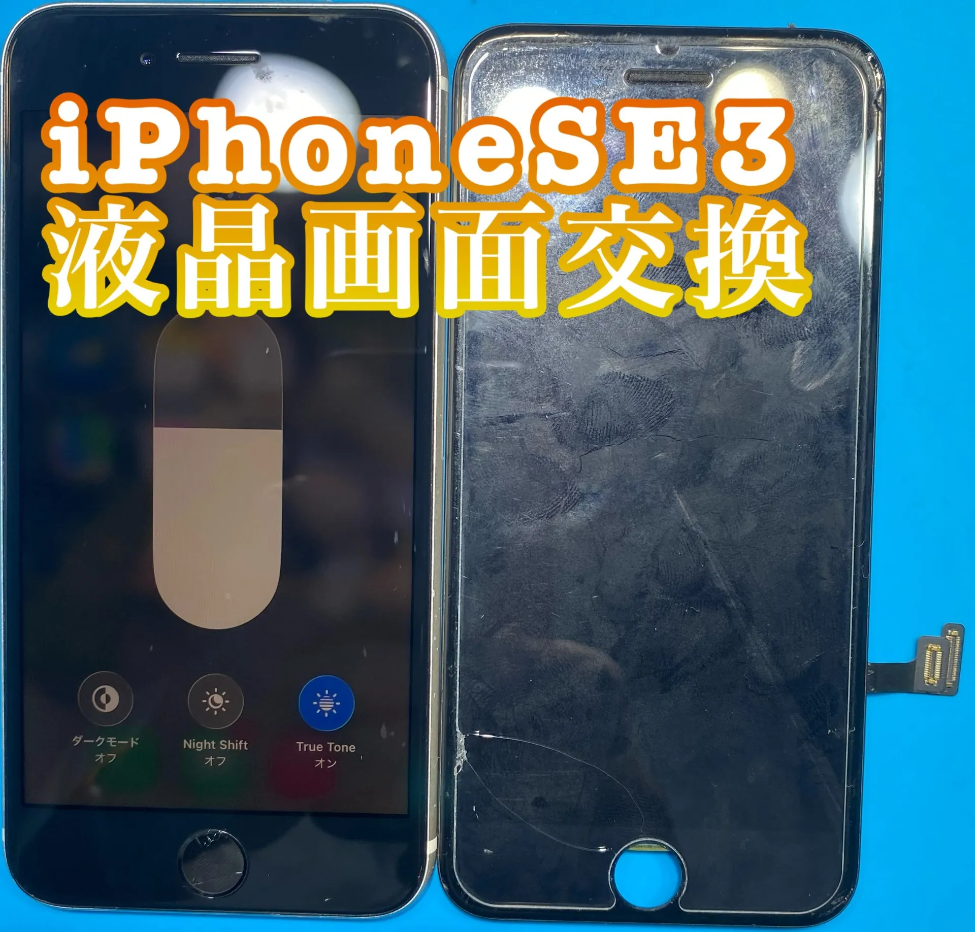 iPhone・iPad修理フォンドクターグループ　宮崎店、名古屋駅前店、愛知知立店、魚津店、敦賀店、都城店、岐阜土岐店